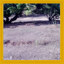 Property is 4KM from Vengurla Market 