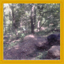 Land for sale in Madure 