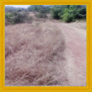 Land for sale in Madure 