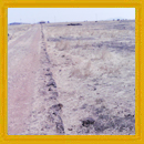 Land for sale in Vaigani Vengurla 