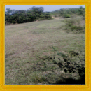 14 Acre Property for sale