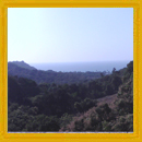 Land for sale in Market Vengurla 